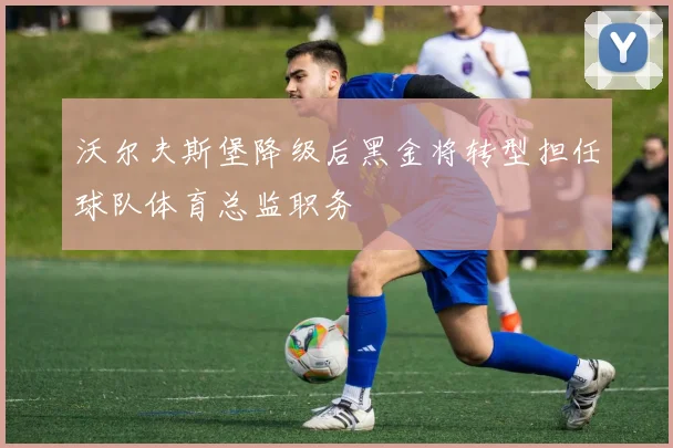 沃尔夫斯堡降级后黑金将转型担任球队体育总监职务