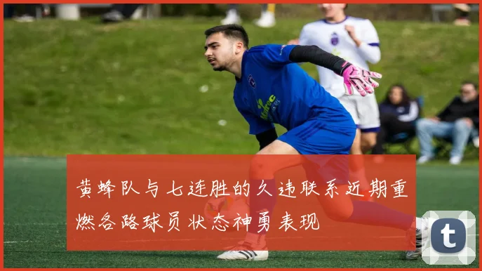 黄蜂队与七连胜的久违联系近期重燃各路球员状态神勇表现